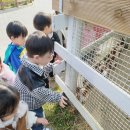 예쁜3반💚가평베고니아새정원♡가을소풍🍂 이미지