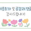 에이스스칼프 이미지