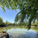 무심교옆 이미지