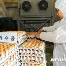 윤정희농장 이미지