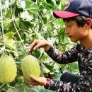 황제농장2 이미지