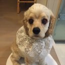 덕봉주르 이미지