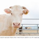 경남가축개량소 이미지