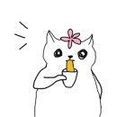 해남장수촌닭