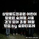 서울숲 생태숲 화장실 | 서울숲 어린이 할로윈 숲체험 후기