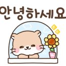 TOP운동화빨래방 | 루나워시 24시 셀프 빨래방 방문 후기