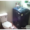 석촌초등학교 이미지