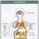 바이오 베이직 이미지