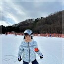 프로그램 | 홍천 비발디파크 스키강습 프로그램 후기