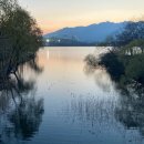 새과천공인중개사사무소 이미지