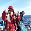 공현진항 이미지