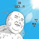 백옥주사 효과 알게된 팩트