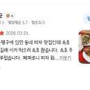 속초 해수욕장 맛집 바다 통창뷰 감성 가가스피자 후기