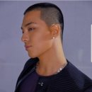 태양방역