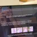 블링블링예쁜언니들삽 | 🕊️여름 신부의 에토프 꾸뛰르 본식 가봉 후기 (돌고 돌아 홀딩 드레스 선택 / 레이스 위주)