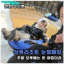 수신로 | [천안 상록리조트 눈썰매장] 운영시간·요금·슬로프 정리 + 아이랑 직접 다녀온 솔직후기
