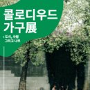 콜로디우드스튜디오 이미지
