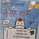 닥터마린키즈수영장 이미지