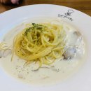 스파게티 스토리 이미지