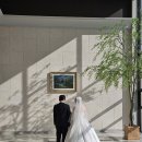 씨엘블루호텔 | 이천 빌라드아모르 l 르블루씨엘 베뉴 웨딩홀 추천 본식dvd 웨딩영상 촬영후기 뷔페 주차정보