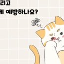 장호원동물병원 이미지