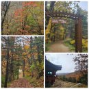 2026년 11월 1일(일) 오대산 나옹선사 수행길 : 가을 오색단풍을 사색, 치유, 깨달음과 함께.. 이미지