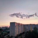 난다고래 이미지