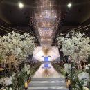 카리스웨딩홀 이미지