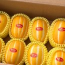 영천다원 이미지