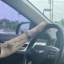 강아지미용실502 이미지