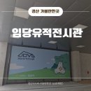 용인문화유적전시관 | 대구 근교 경산 아이와 가볼 만한 곳 임당유적전시관