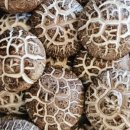 안정순환로172번길 이미지