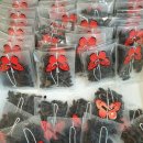 구중구포 구기자차.비트차 이미지