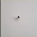 서광오토 이미지