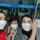 임호초등학교 이미지