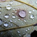 향기나라 화장품 이미지