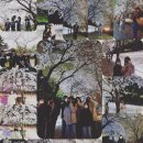 효진관 합기도 이미지