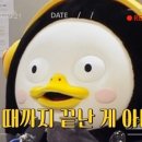 캠핑고래