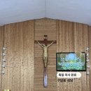 리나오뜨 네이버블로그