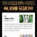 메디와이 이미지