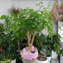 하진모터스 이미지