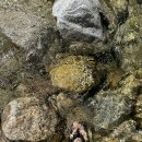 광덕계곡관광지 이미지