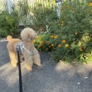 도봉-쌍문-도봉-1396 이미지