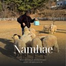 하나목장 | 남해 양떼목장 양마르뜨언덕 입장료 주차 겨울 추천 체험 후기