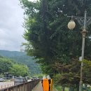 도대1교