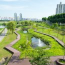 올리브영 등촌점 이미지