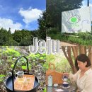 노동오리농장 | 제주 10월 축제 와일드오차드 녹차밭 여행