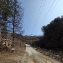 266 | 홍천 알지캠프266 캠핑장 방문 후기 (강원도 자연 속 힐링 캠핑장)