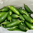 명지농장1 이미지