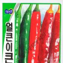 녹수슈퍼 이미지